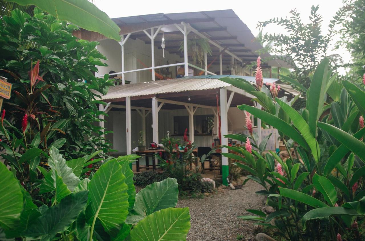 Vista Verde Puerto Viejo de Talamanca Exterior foto